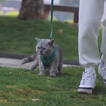 Cat Harness and Leash for Walking